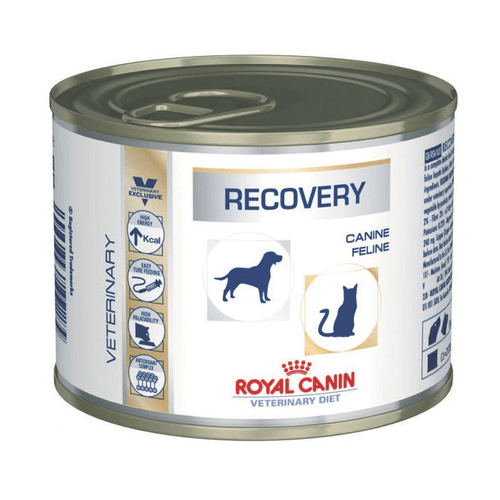 Ração Royal Canin Lata Canine E Feline Veterinary Diet Recovery Wet - 195 G